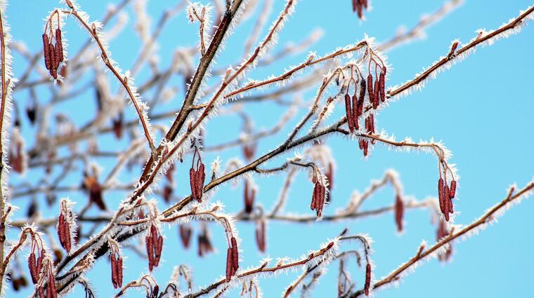 winter