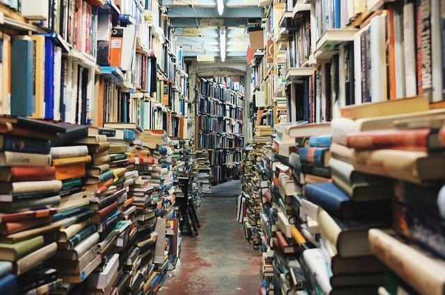 MIT Press