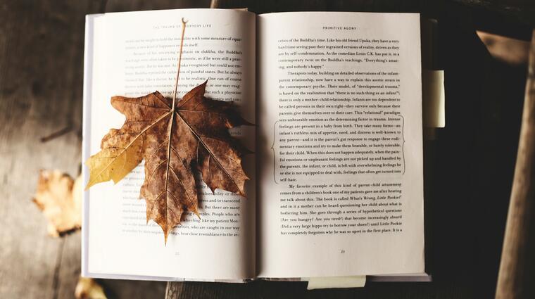 autumn book